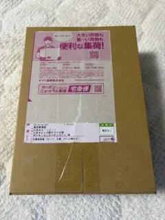 ポケセン産MEGAドリームex 新品完全未開封 シュリンク付き　おまけカード付き