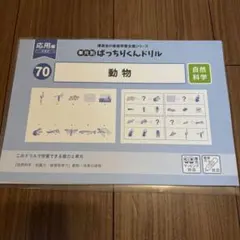新版 理英会 単元別ばっちりくんドリル 80 生活常識① 応用編 裁断済み