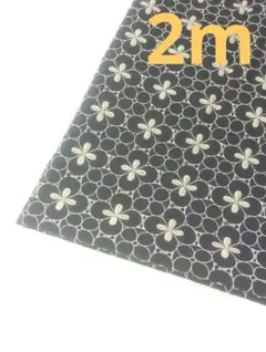 Item thumbnail for item ed384514-eddf-405d-b0c7-da02a6b39395