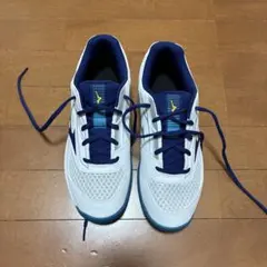 ミズノ　テニス/バトミントン　カーペットコート用シューズのサムネイル