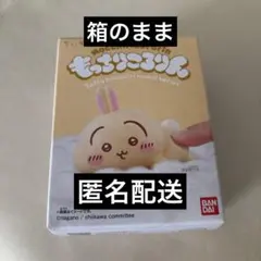 もっちりころりん うさぎ 新品未開封