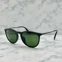 Ray Ban ERIKA 偏光サングラス RB4171-F レイバン