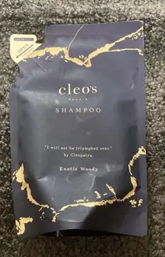 Item thumbnail for item 63fd93ec-7ea8-4f81-a647-73e207e96258