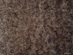 Item thumbnail for item 080cbcf9-904d-4d6f-8a1b-646bf6473c67