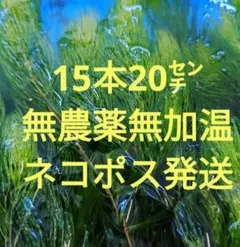 あや様 リクエスト 2点 まとめ商品