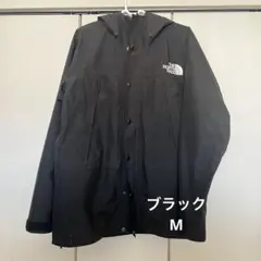 THE NORTH FACE M マウンテンライトジャケット