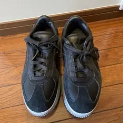 専用です オニズカタイガー