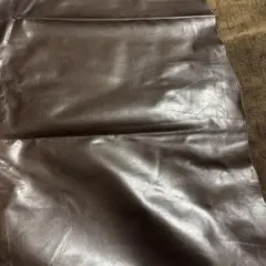 Item thumbnail for item 5d21be69-6e2e-480a-bd45-73c9f6435557