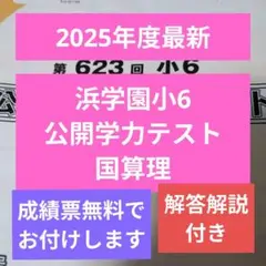 2026年最新】浜学園 公開テスト 小6の人気アイテム - メルカリ