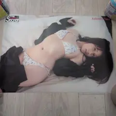 Item thumbnail for item 1173547d-1680-4e94-bd84-a126d30ee117