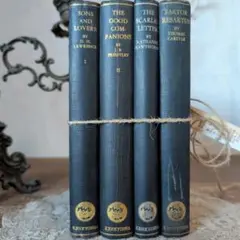 B749 経年を経た古びた風合いが素敵！ 洋書 古びた風合い ディスプレイ