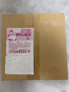 メガブレイブ　ポケモンセンターセット　未開封