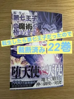 転生したら第七王子だったので、気ままに魔術を極めます　22巻　裁断