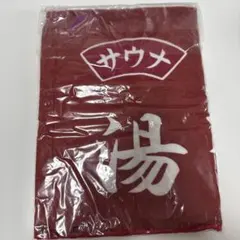 2025 森高千里コンサートツアー“あなたも私もファイト!!”』タオル