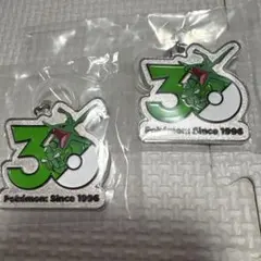 ポケモン30周年 メタルチャームマスコット めじるしアクセサリー レックウザ