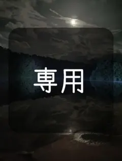 朝様　専用