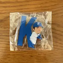 ファイターズビンゴ2025 上川畑大悟