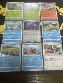 早い者勝ち ポケモンGO メタモン 2枚セット 未剥がし ドンメル