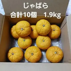 じゃばら　合計10個　1.9kg　送料込み