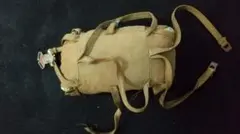 Item thumbnail for item e7860b3c-e7ee-4275-88ca-8fe65ff306bb