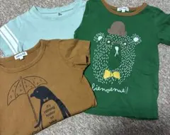 半袖Ｔシャツ　110㎝　3枚セット
