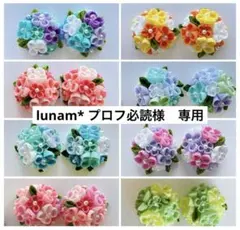 【lunam* プロフ必読様専用】