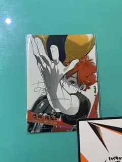 ハイキュー バボカ 極P 日向翔陽 シリアルナンバー 古舘先生サイン