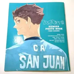 ぽ*ん様 ハイキュー　及川徹　HEROES フォトブック