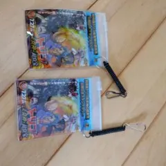 Item thumbnail for item e94da63a-e87d-4176-83a9-36706a39906e