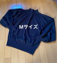 Item thumbnail for item 4c804624-f832-48ae-a854-8e464deb2f15