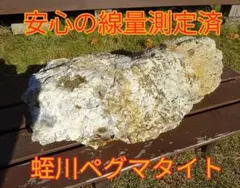 Item thumbnail for item 1b283400-de43-4968-8d66-434e372925ab