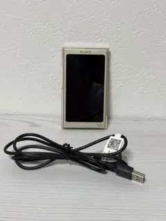 Item thumbnail for item 3b70633f-7f74-4425-afbe-b4b660a6ccb9