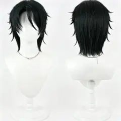 ✟淀川真澄 ウィッグ✟セット済 桃源暗鬼 - メルカリ
