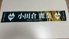 Item thumbnail for item ee0e2f1a-e515-4033-8c1a-f680c3850a8a