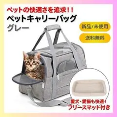 Item thumbnail for item 8e977519-6694-4ff3-84ac-ea80d458358d