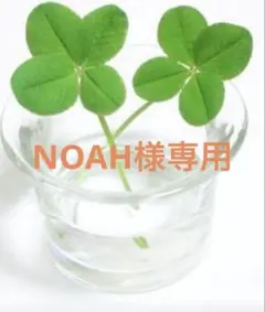 NOAH様専用