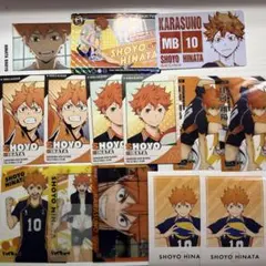 ハイキュー!!日向翔陽カードセット