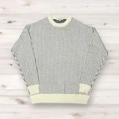 A DAY IN THE LIFE バーズアイ クルーネックニット セーター M