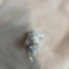 【新品未使用】カラフルカラビナマスコットチャーム シナモン