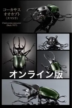 いきもの大図鑑アドバンス コーカサスオオカブト