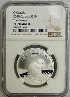 カナダ メープルリーフ25周年 5ドル銀貨2013年（MS64) [CAG] - メルカリ