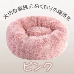 Item thumbnail for item 47f252cd-acca-4eb7-bfd3-5737483cf7e1