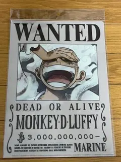 「ワンピース」ルフィ 30億（ニカ）手配書クリアファイル 新品未開封