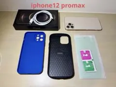 iphone 12 pro max 256gb