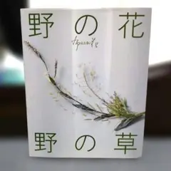 野の花 野の草 山上るい 布花 アートフラワーのサムネイル