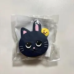 RIIZE ウォンビン トニャンドク うちわアクセサリー&ミニうちわ