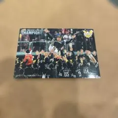 【希少】プロ野球チップスカード2010ソフトバンクホークス優勝カード