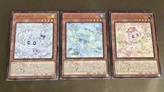マルチャミー・フワロス、プルリア、ニャルス 各1 計3枚