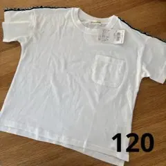 ブランシェス Tシャツ カットソー キッズ 120 ホワイト