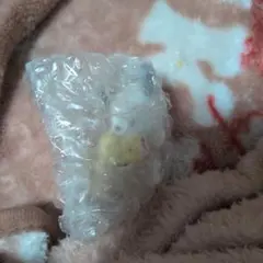 ポチャッコフロッキーマスコット